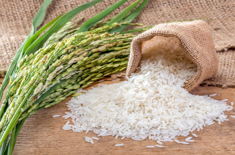 برنامه غذایی برنج
